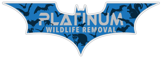 Maumee Wildlife Trapping
